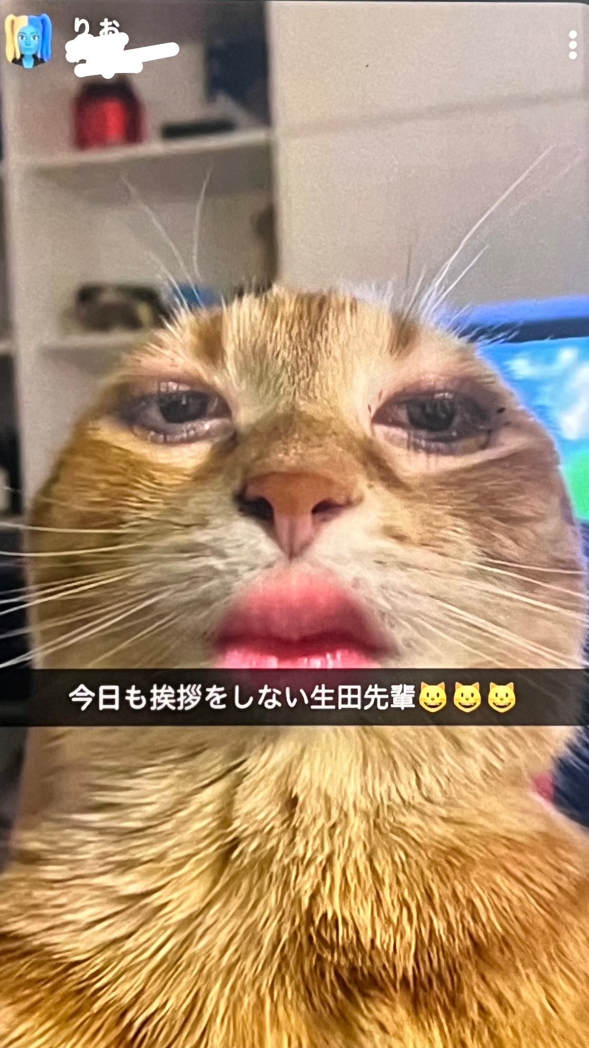 レス1番のサムネイル画像