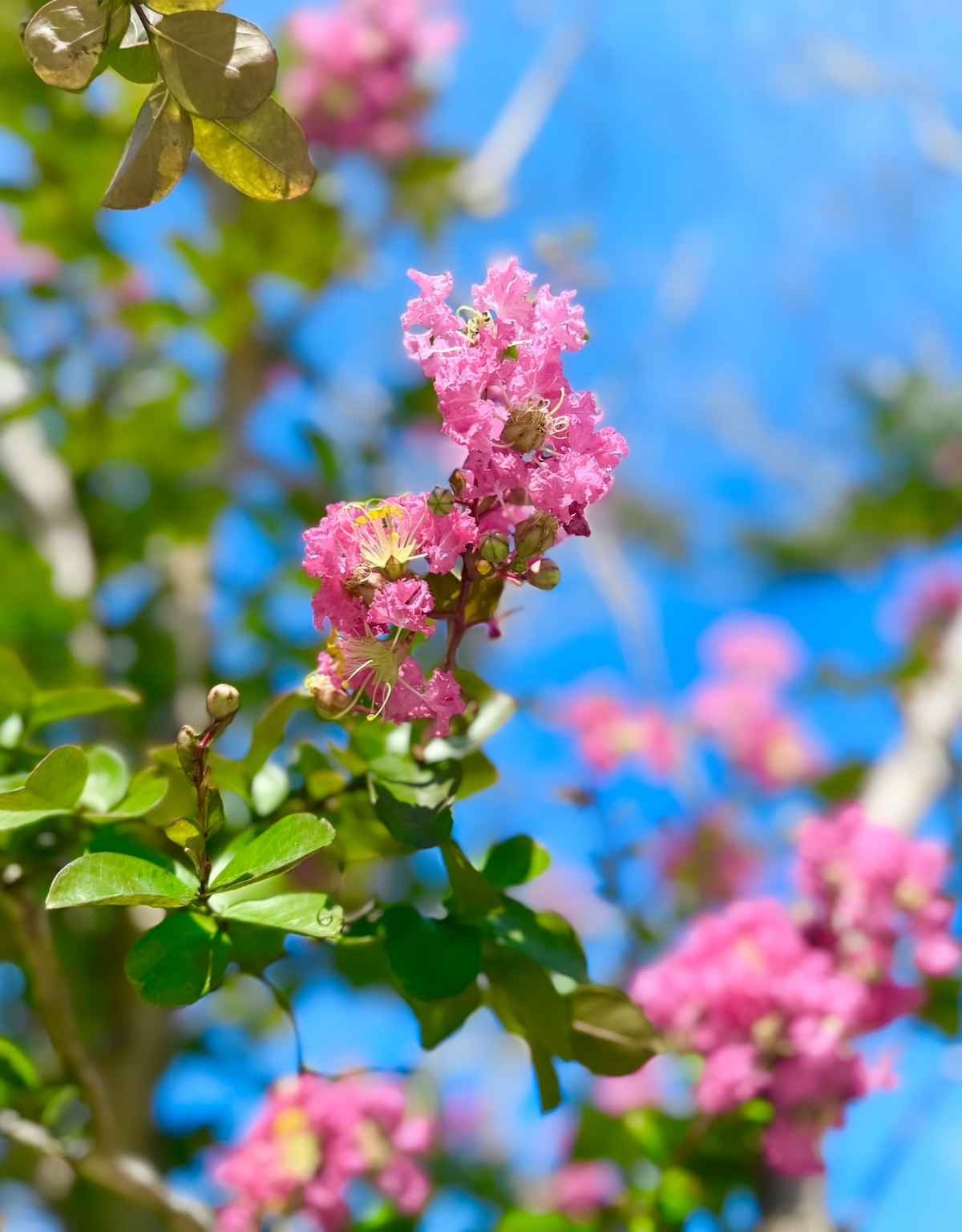 レス1番の画像3