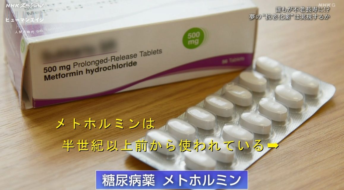 レス1番の画像4