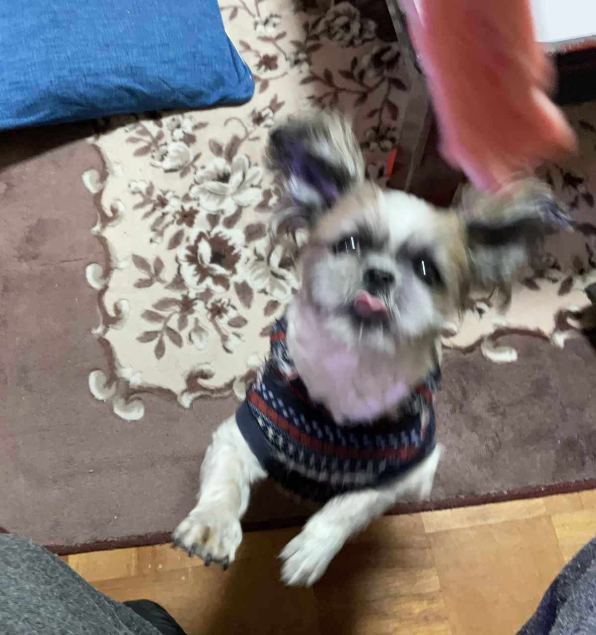 レス2番の画像2