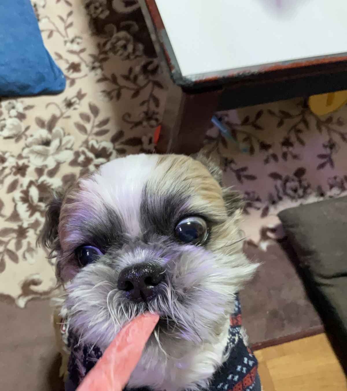 レス2番の画像4