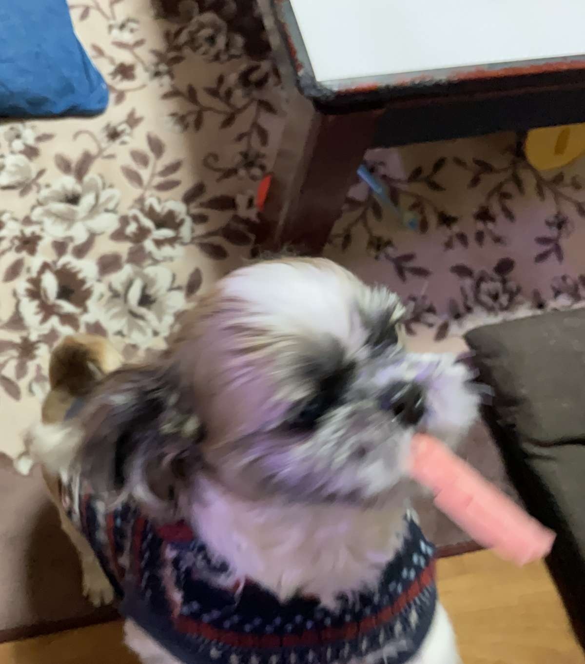 レス2番の画像5