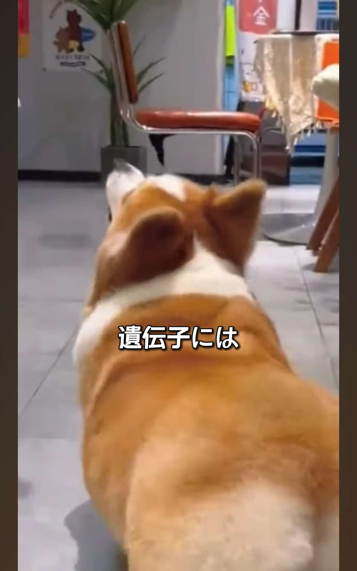 レス1番の画像8