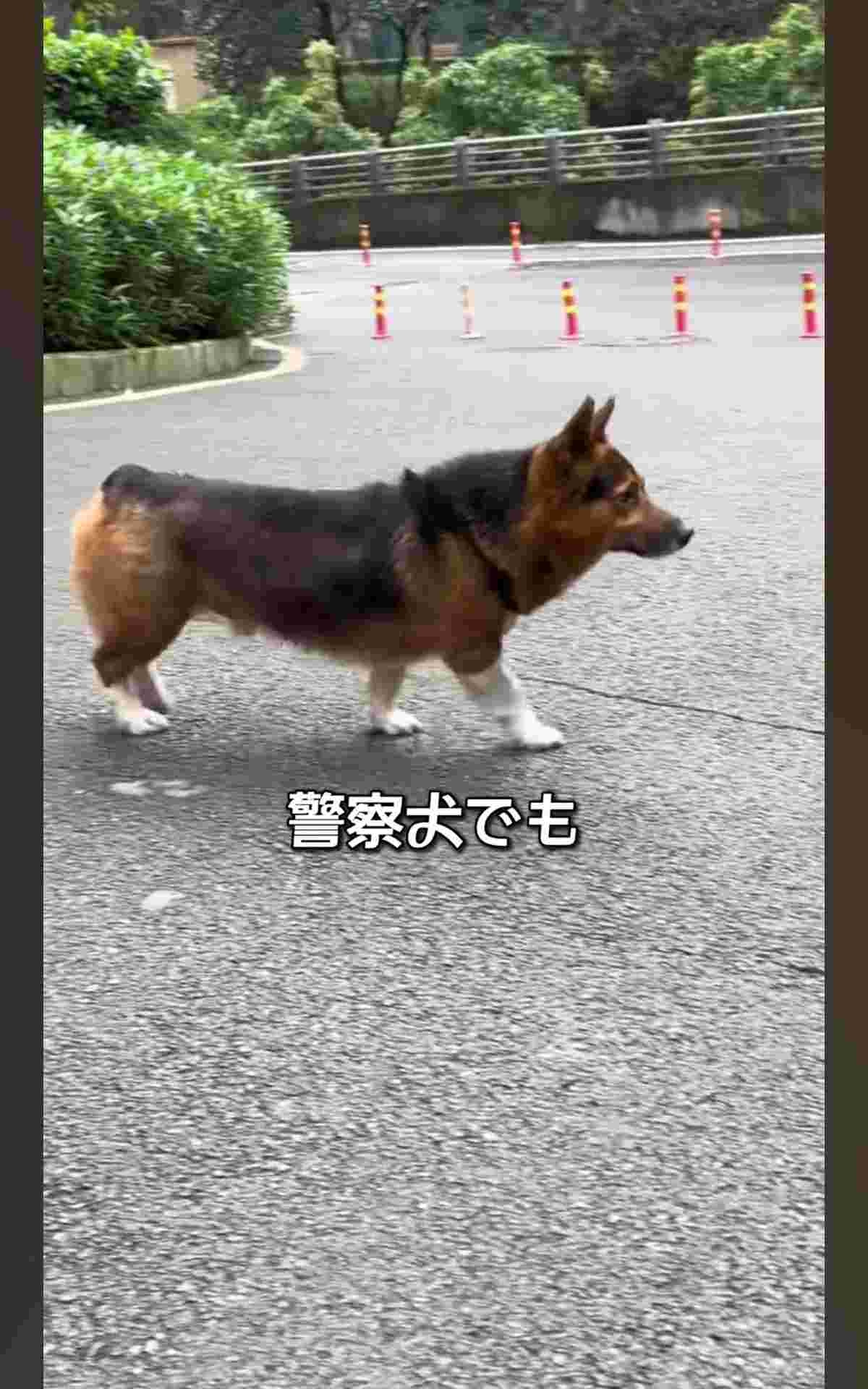 レス1番の画像3