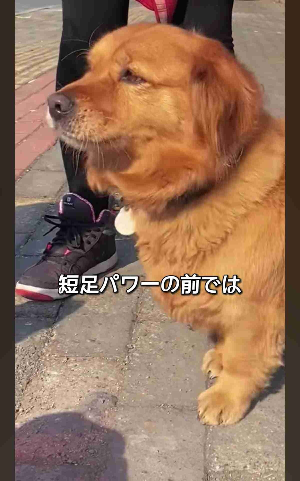 レス1番の画像4