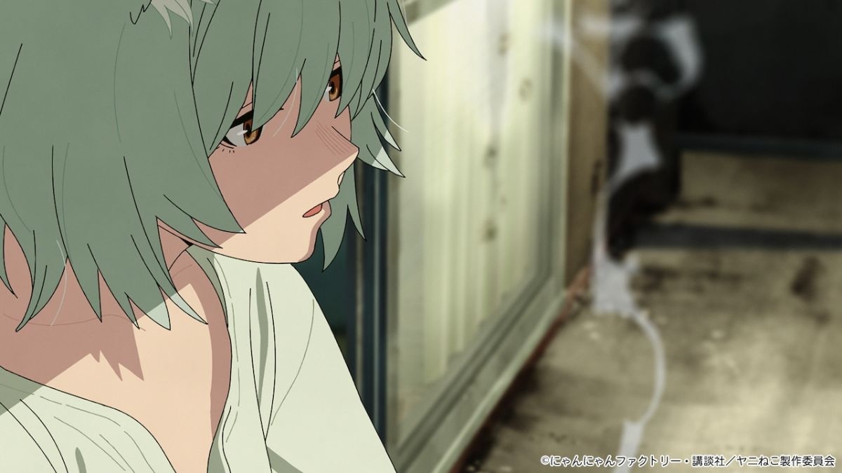 レス2番の画像3