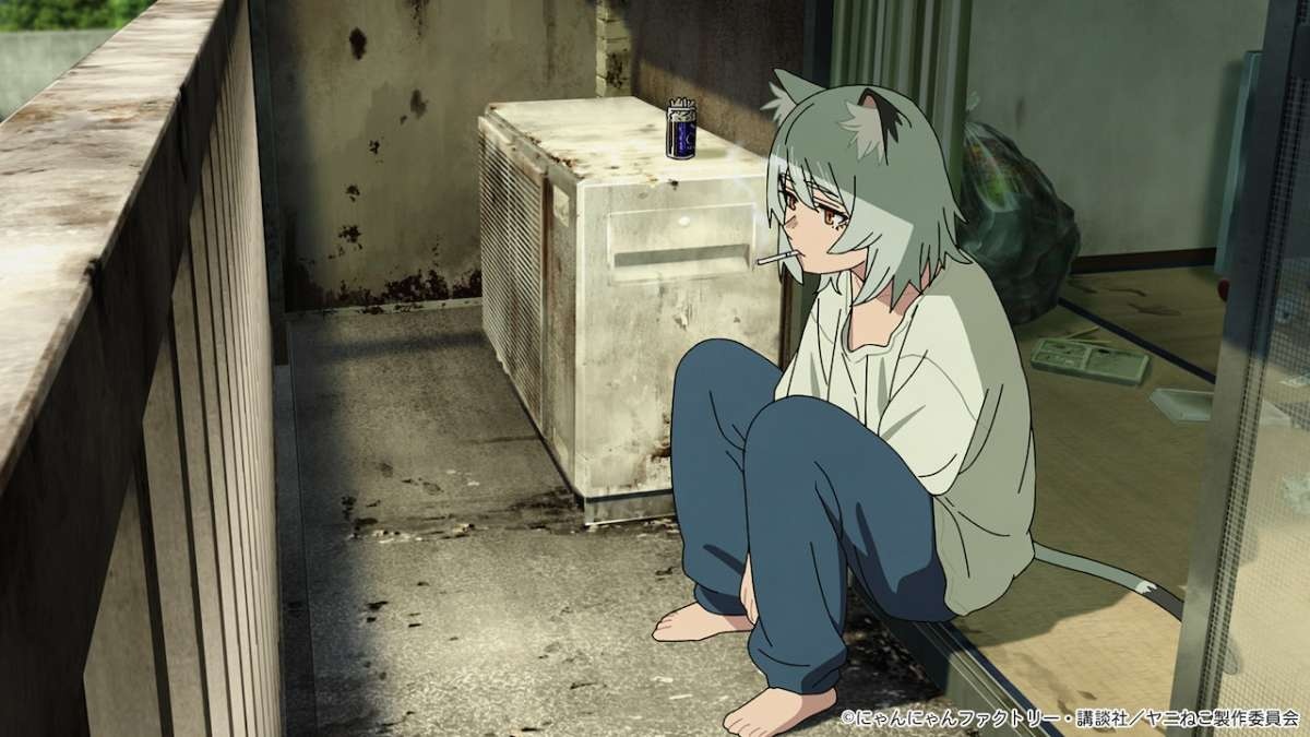 レス2番の画像5