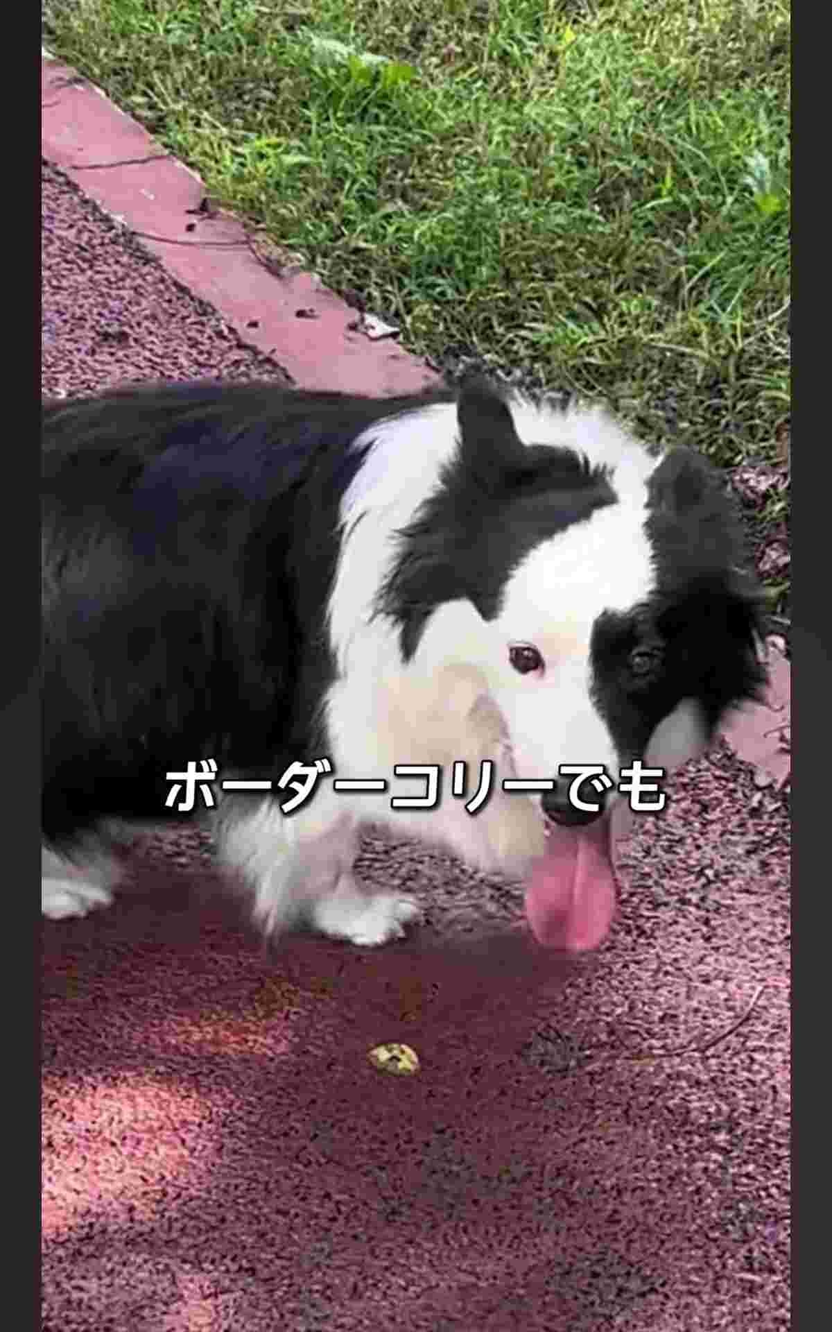 レス1番の画像5