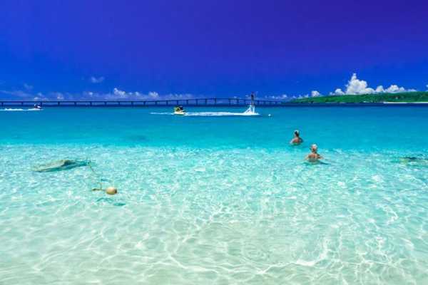 記事サムネイル