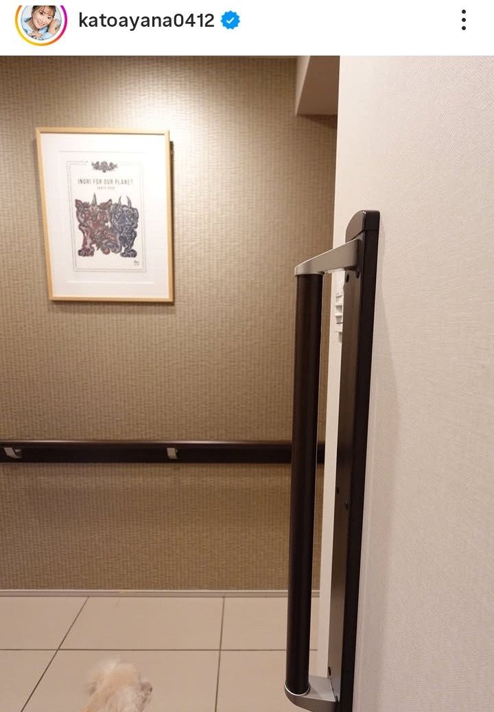 レス1番の画像2
