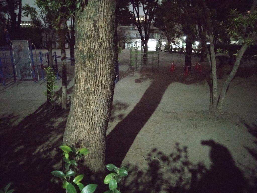 レス33番の画像1